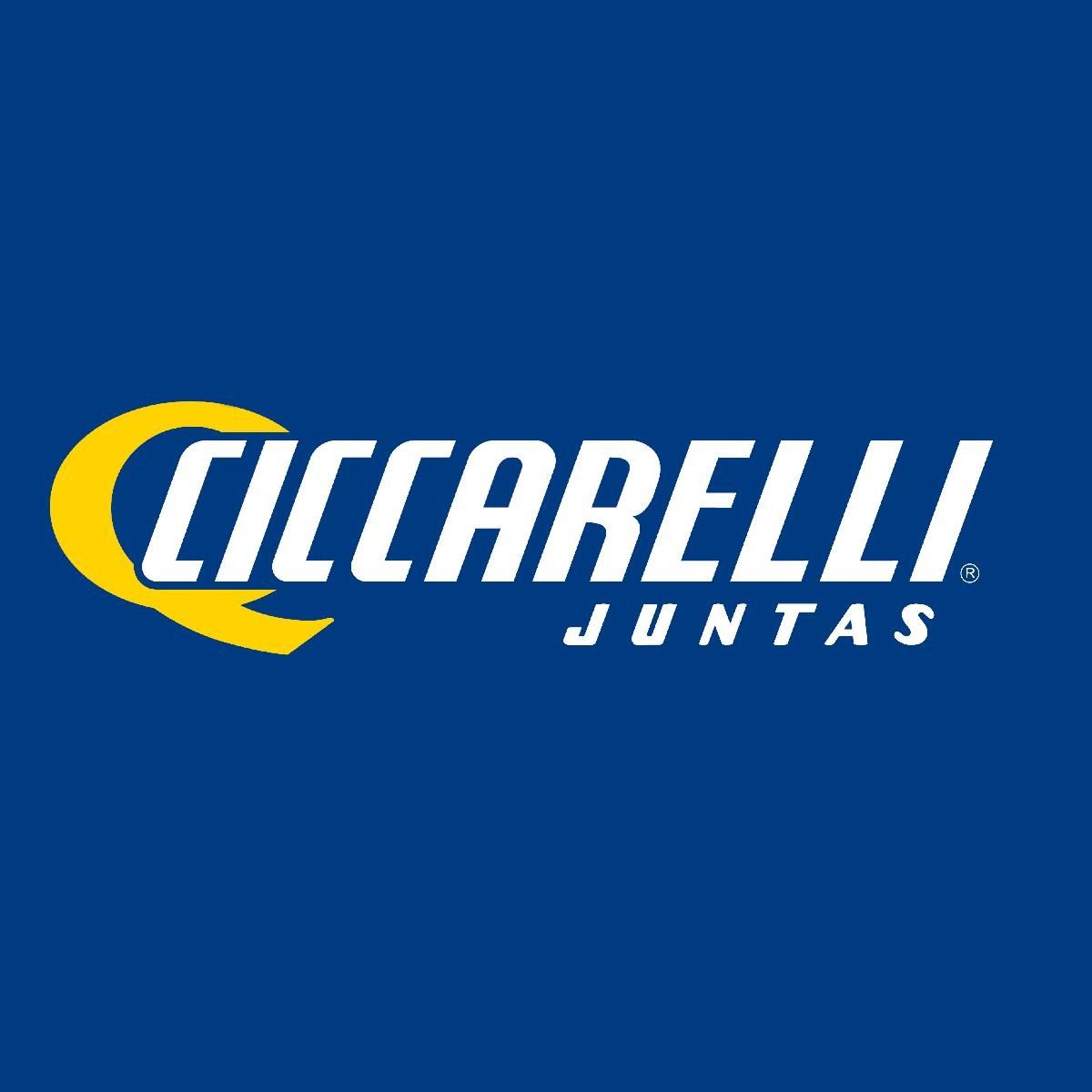 Logotipo de Cilcarelli Juntas en blanco y amarillo sobre fondo azul.