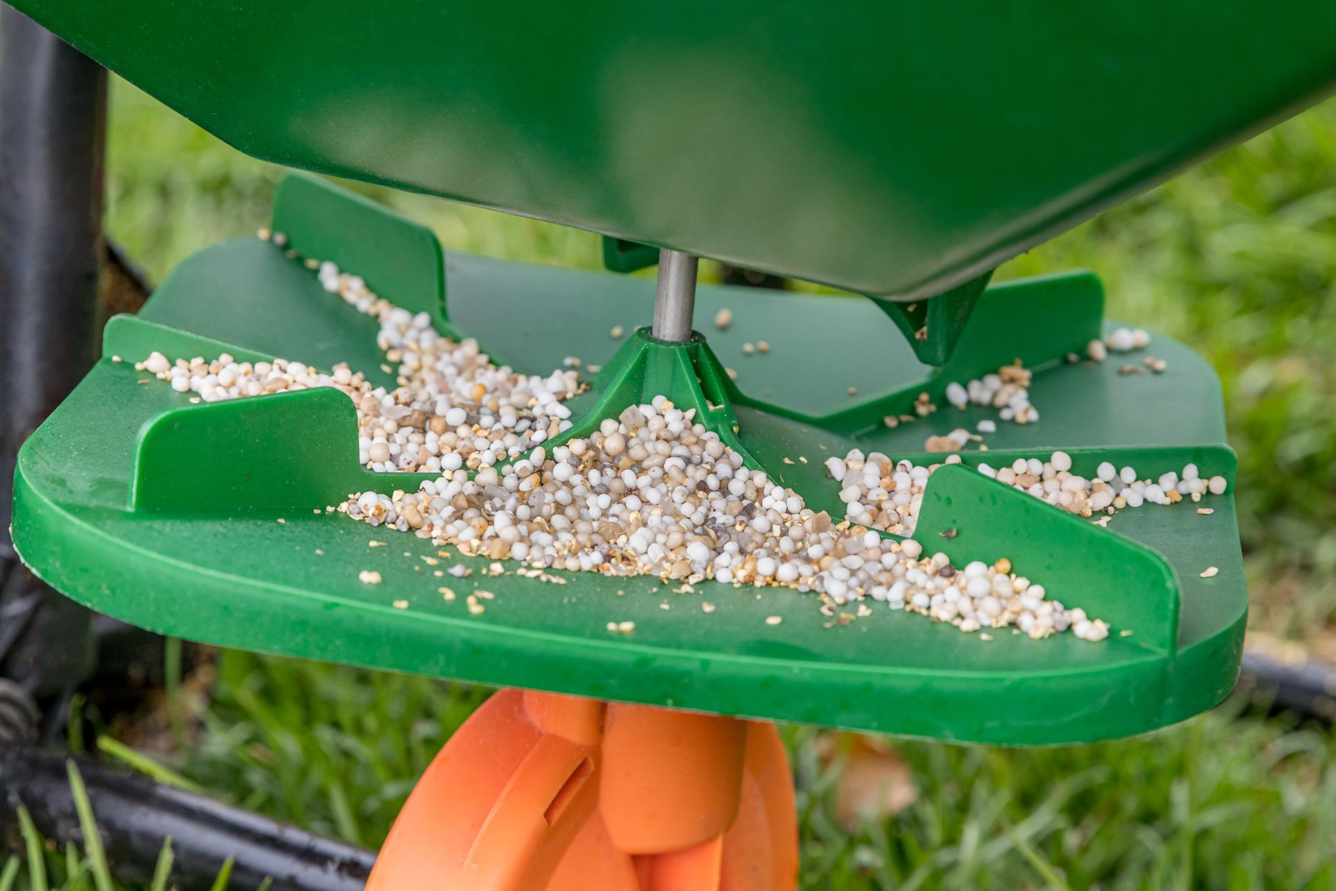 Green bird feeder tray with spilled seeds on a stand outdoors