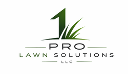 1 Pro Lawn Solutions LLC