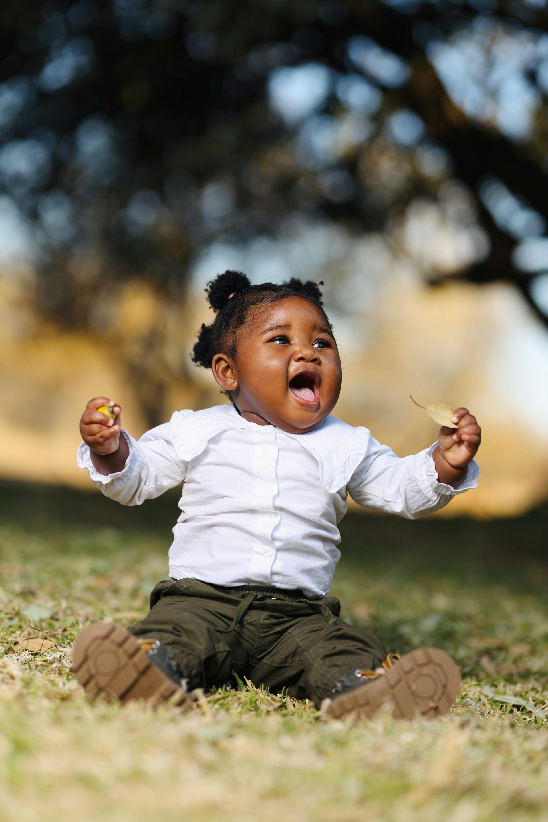 A joyful toddler sitting on grass, wearing a white shirt and dark pants, holding a dry leaf in each hand.