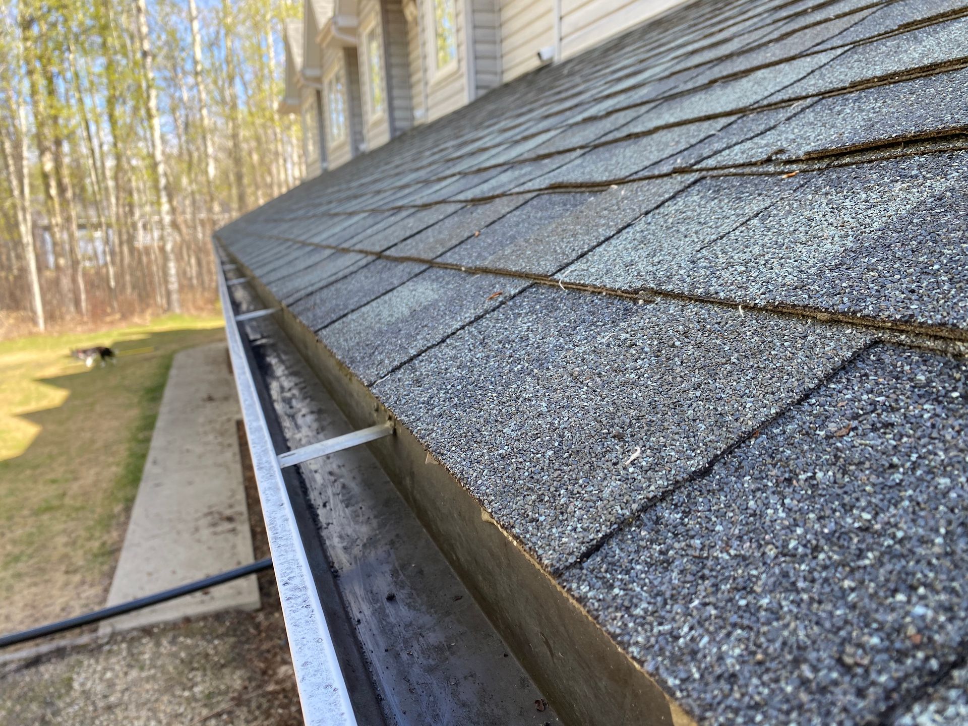 Spotless windows & cleaning serving your home cleaning needs in Alberta