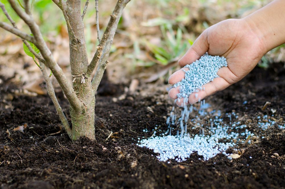 Putting Fertilizer On The Plant — Southbury, CT — Bob's Tree Service