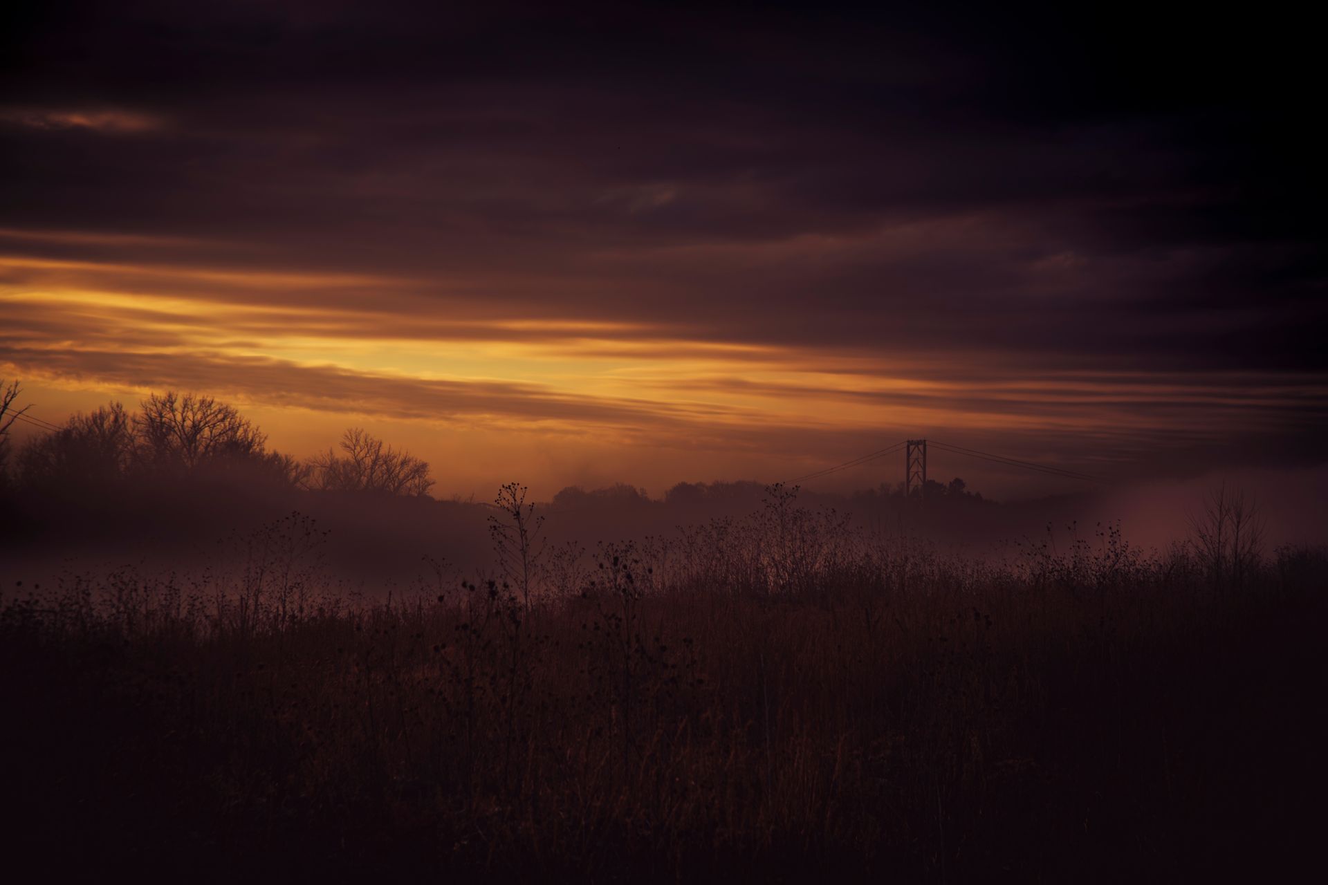 Golden sunset over a foggy field, silhouetting trees and a distant structure.