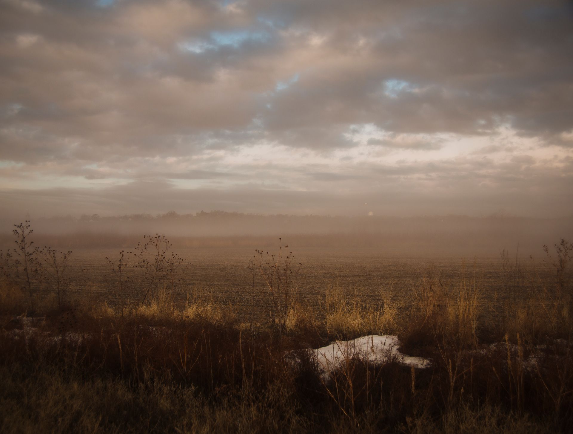 Foggy field at dusk; brown and gold grasses, hazy horizon, cloudy sky.