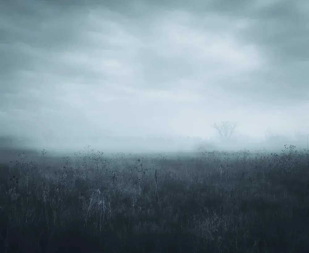 Misty field under a cloudy sky. Pale blue and grey tones. Sparse plants in the foreground, tree silhouette in the distance.