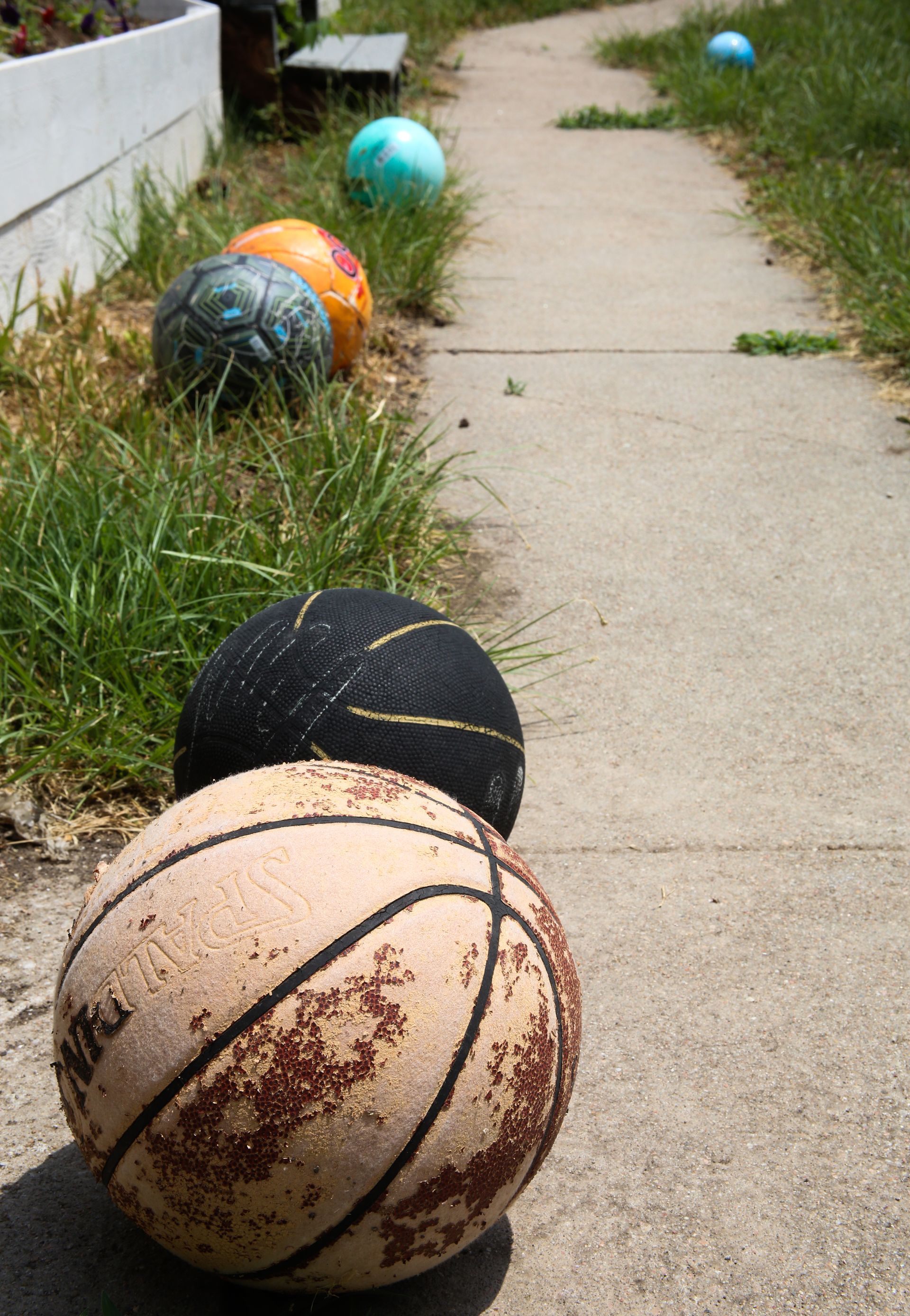 Row of weathered basketballs and other balls on a sidewalk, green grass to the side, sunny day.