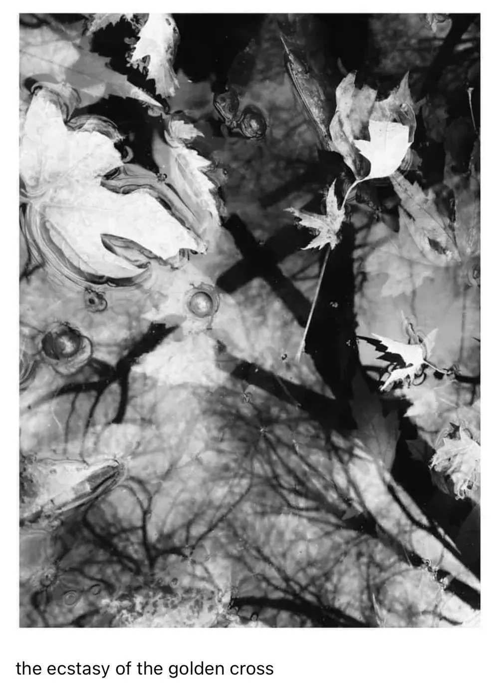 Black and white photo of cross shadow in water, with leaves and tree reflections. 