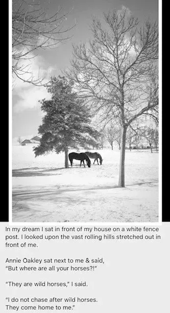 Black and white photo of two horses grazing in a snowy field, text describes a dream with Annie Oakley.