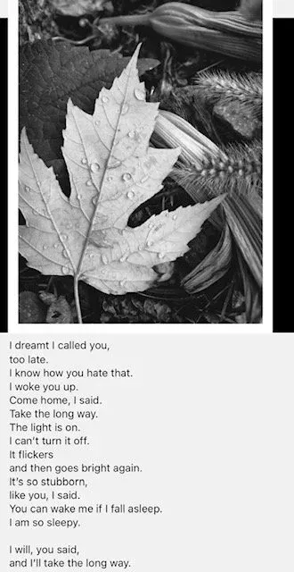 Black and white photo of a leaf with text below. The leaf has water droplets on it.