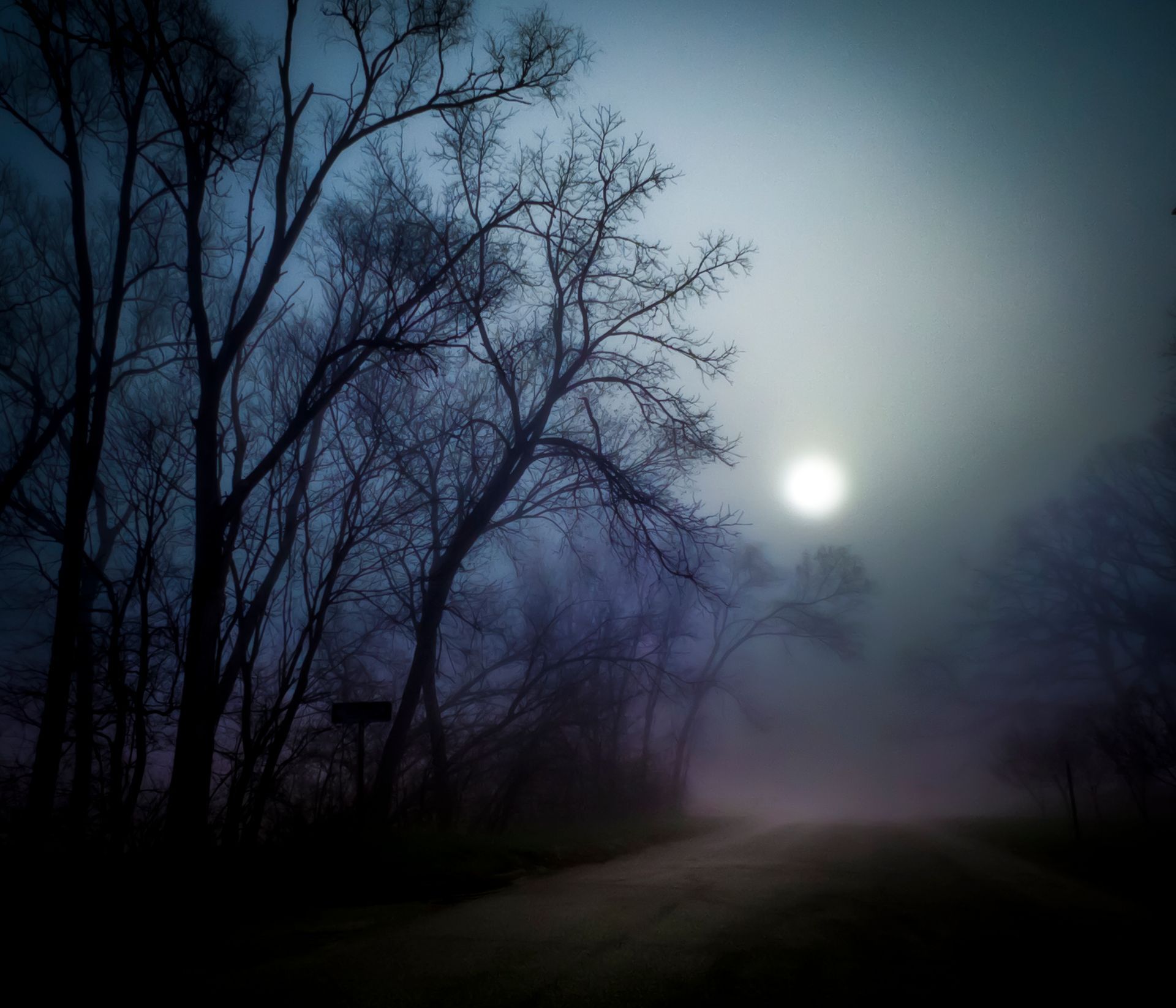 Moonlit, foggy road through bare trees; eerie blue tones.