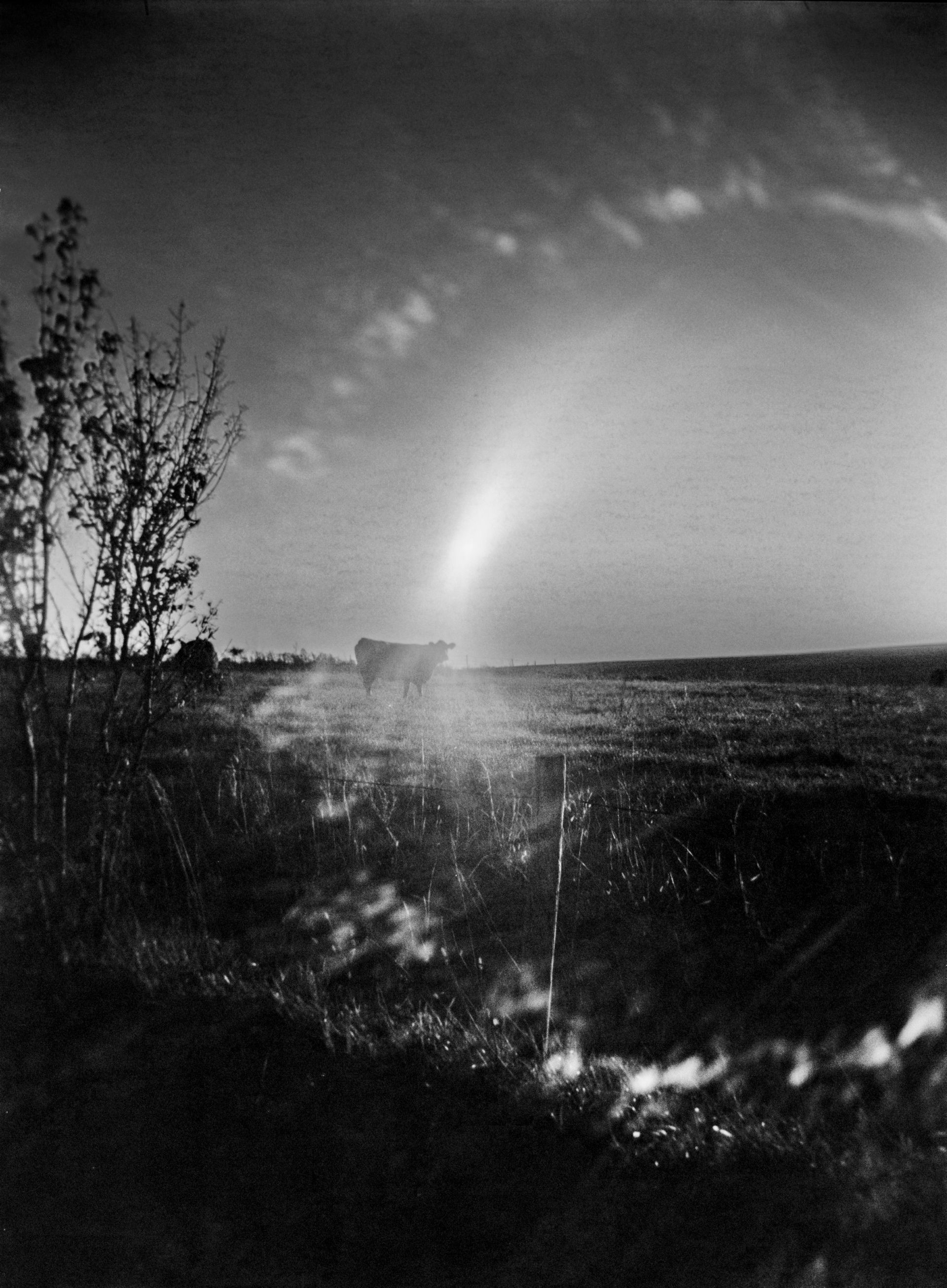 Black and white landscape with a bright light in the distance; a boat in the center, trees on the left.