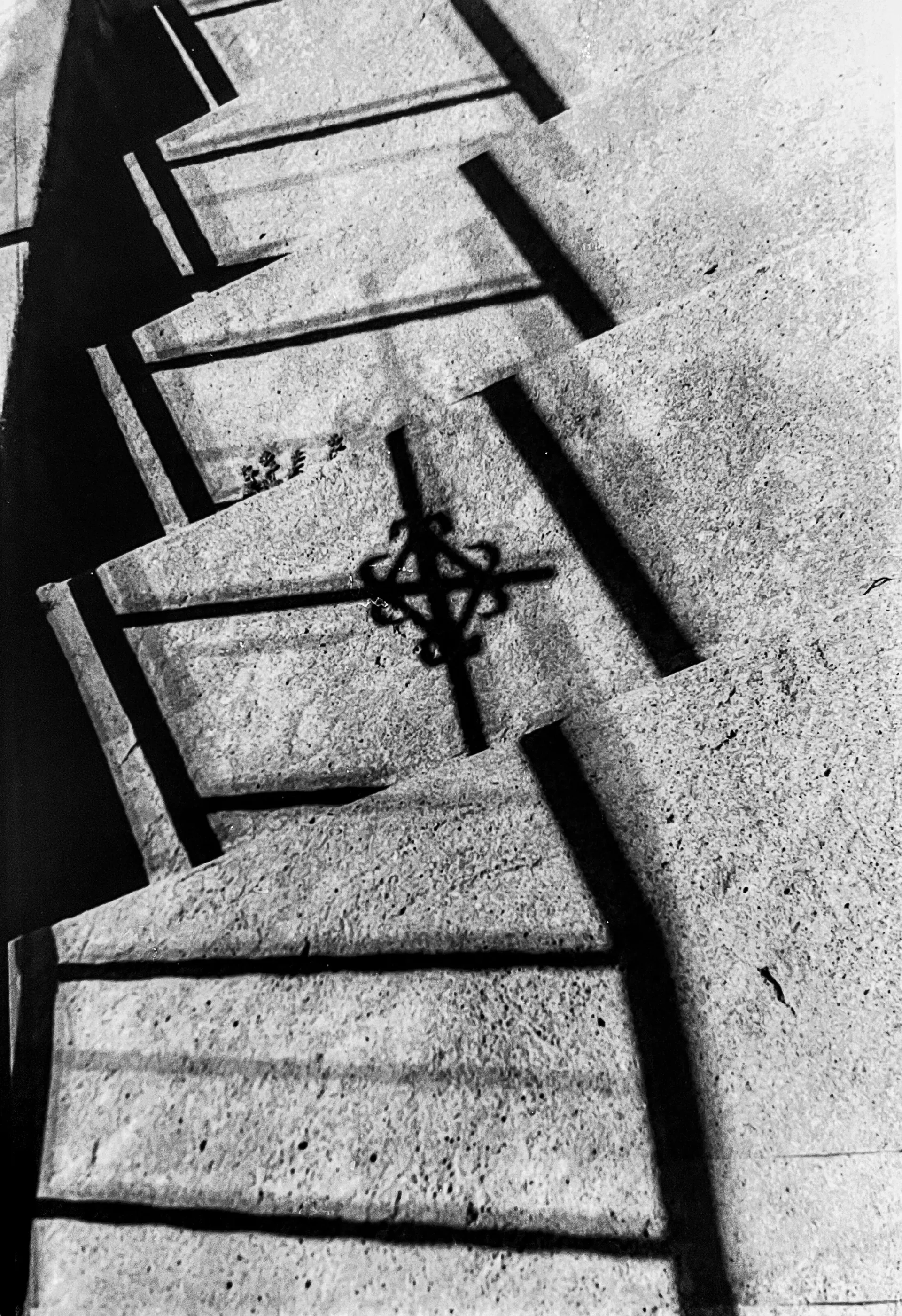 Black and white photo of stone stairs with shadows and decorative ironwork.