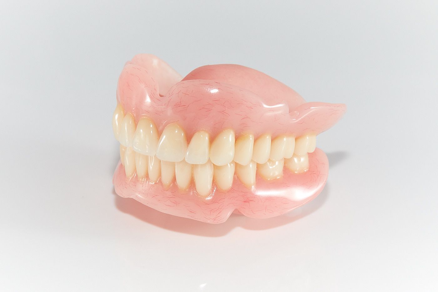 A Expert Person Holding A Full Model Of Teeth — Bromley's Denture Clinic in Tweed Heads South, NSW