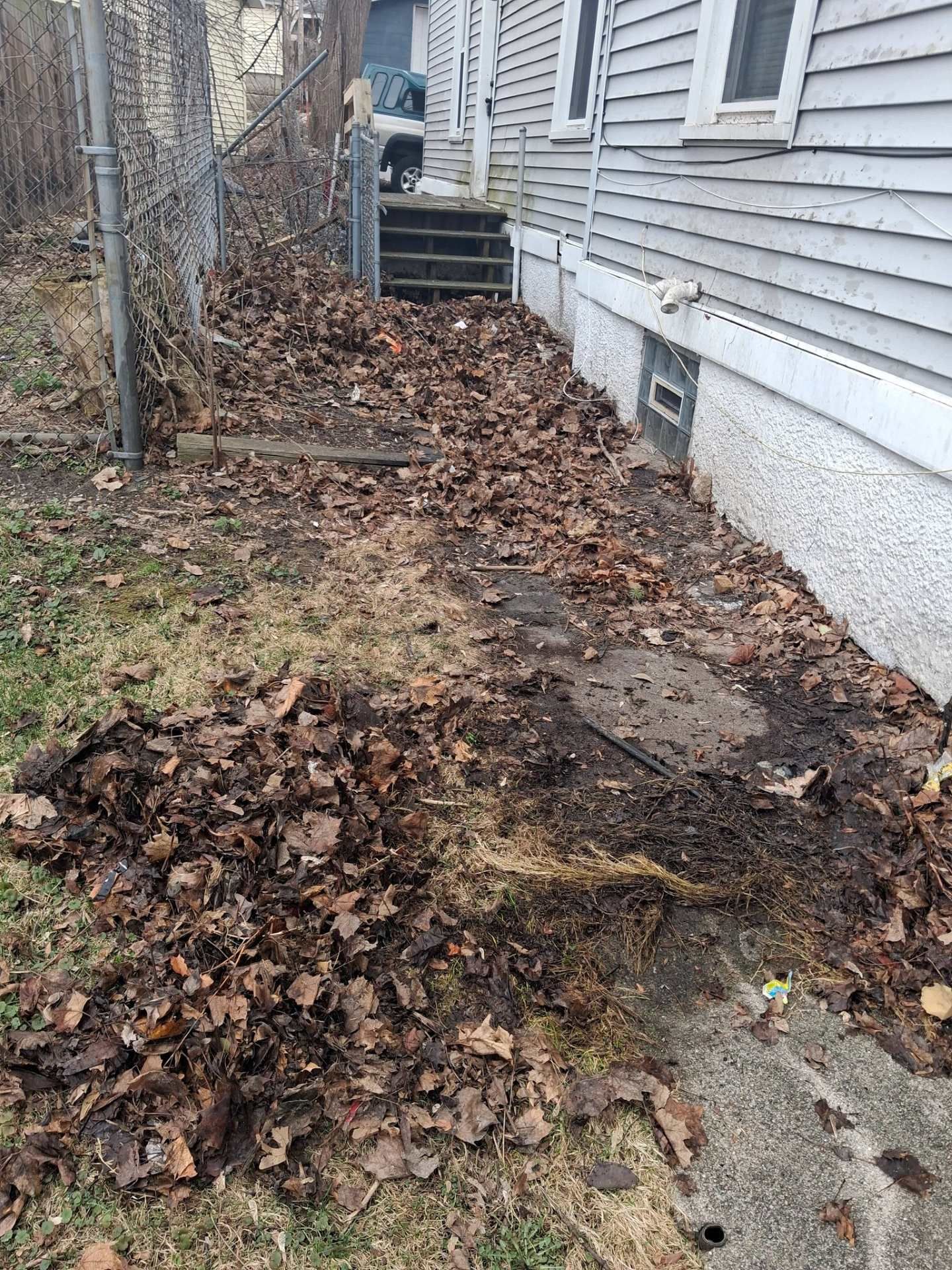 Overgrown backyard beside house with leaf piles, bare ground, and a concrete path near steps