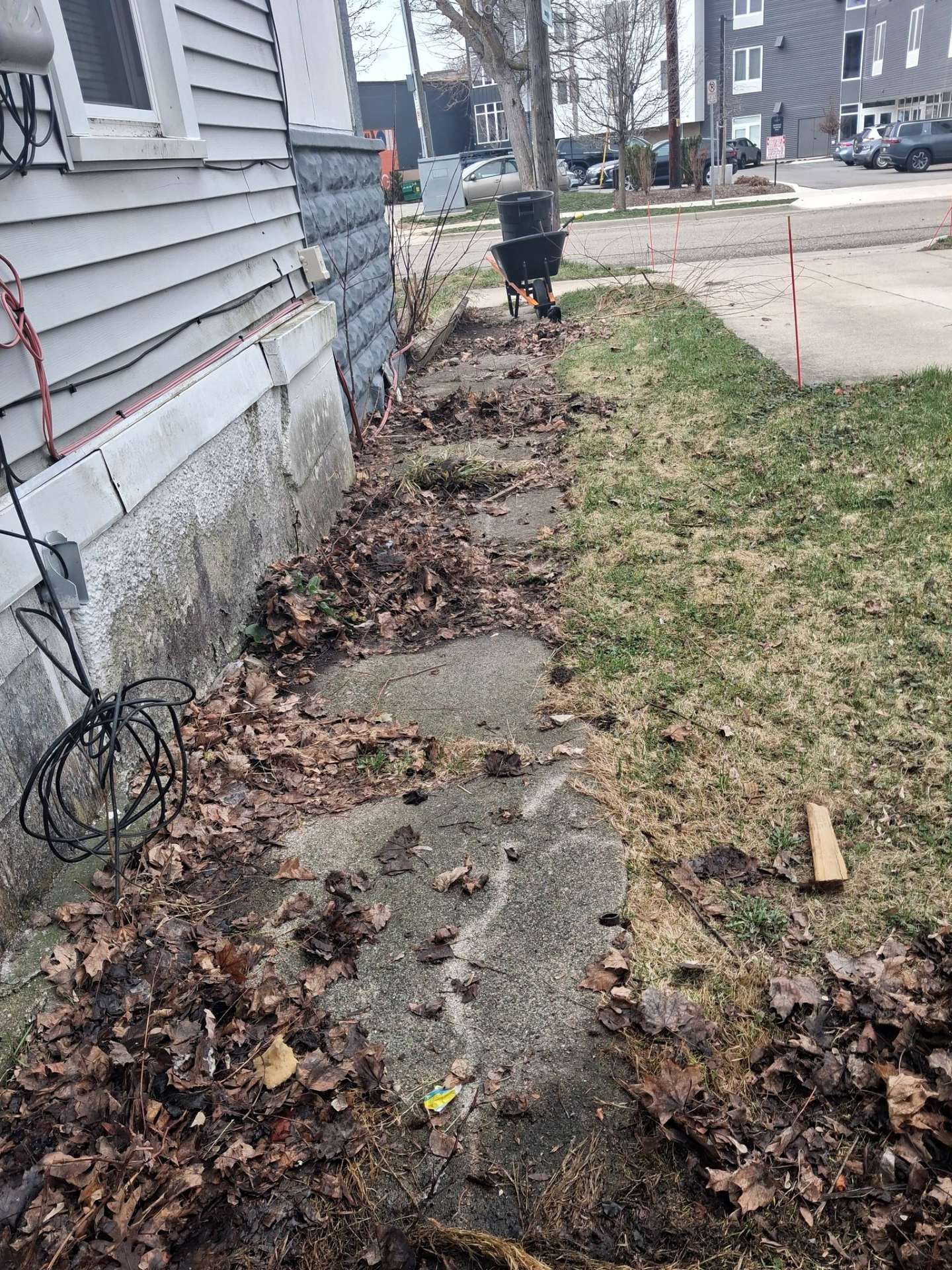 Narrow side yard with a cracked concrete path, scattered leaves, and a house exterior along the left side.