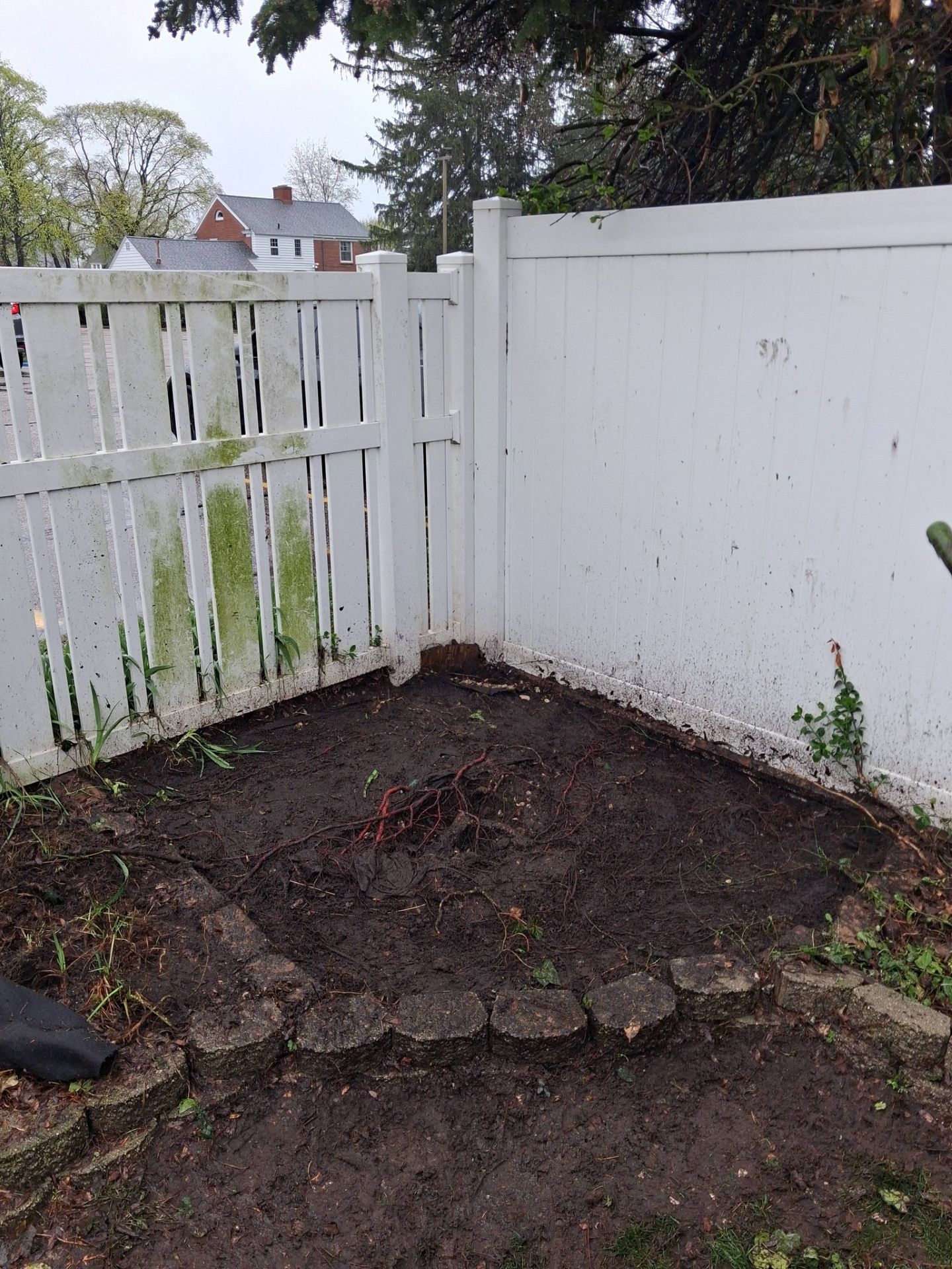 Small muddy backyard corner with a white fence and gate, scattered branches, and a patch of bare soil.