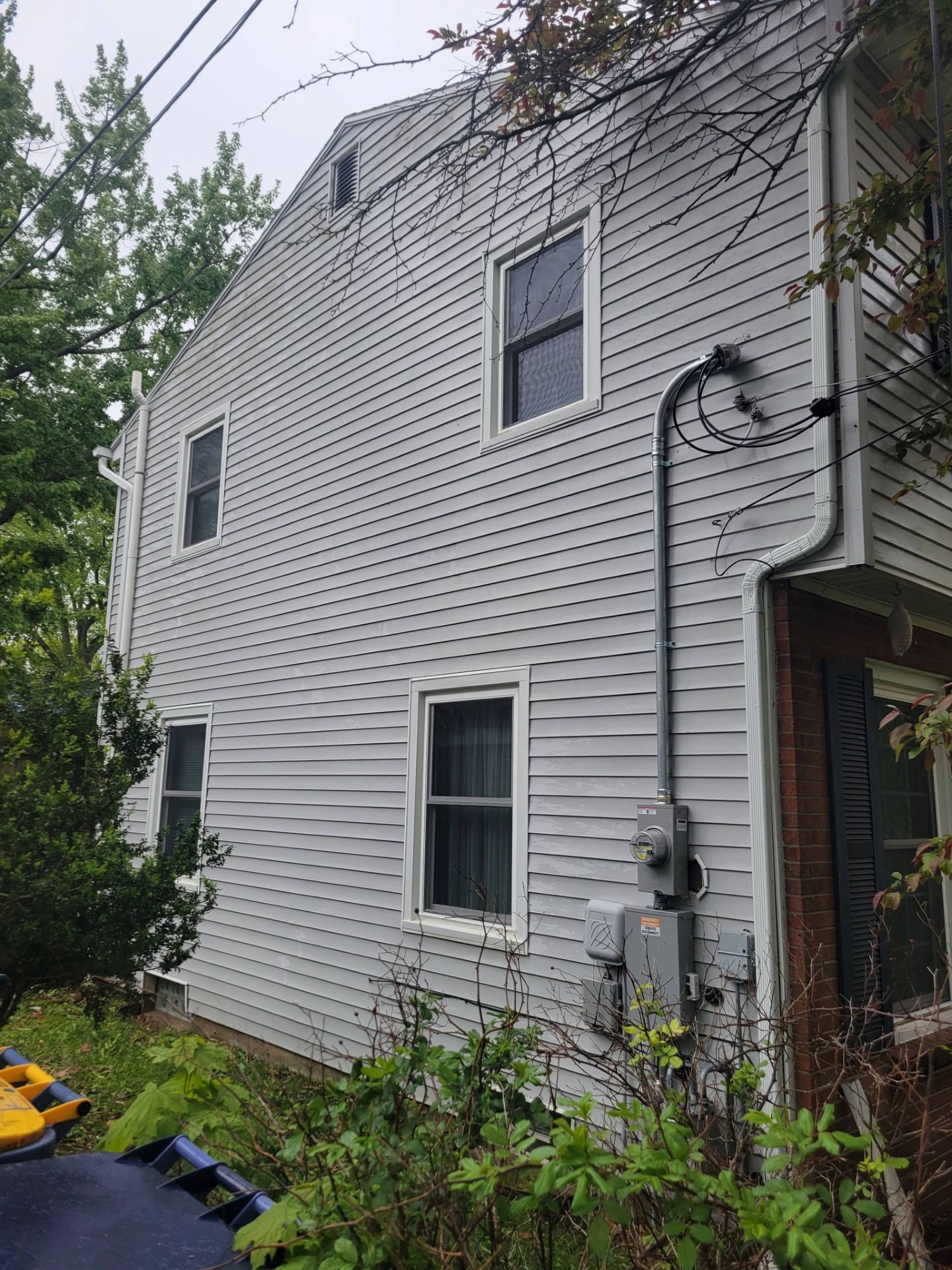 White vinyl-sided house exterior with windows, downspout, and overgrown plants along the side.
