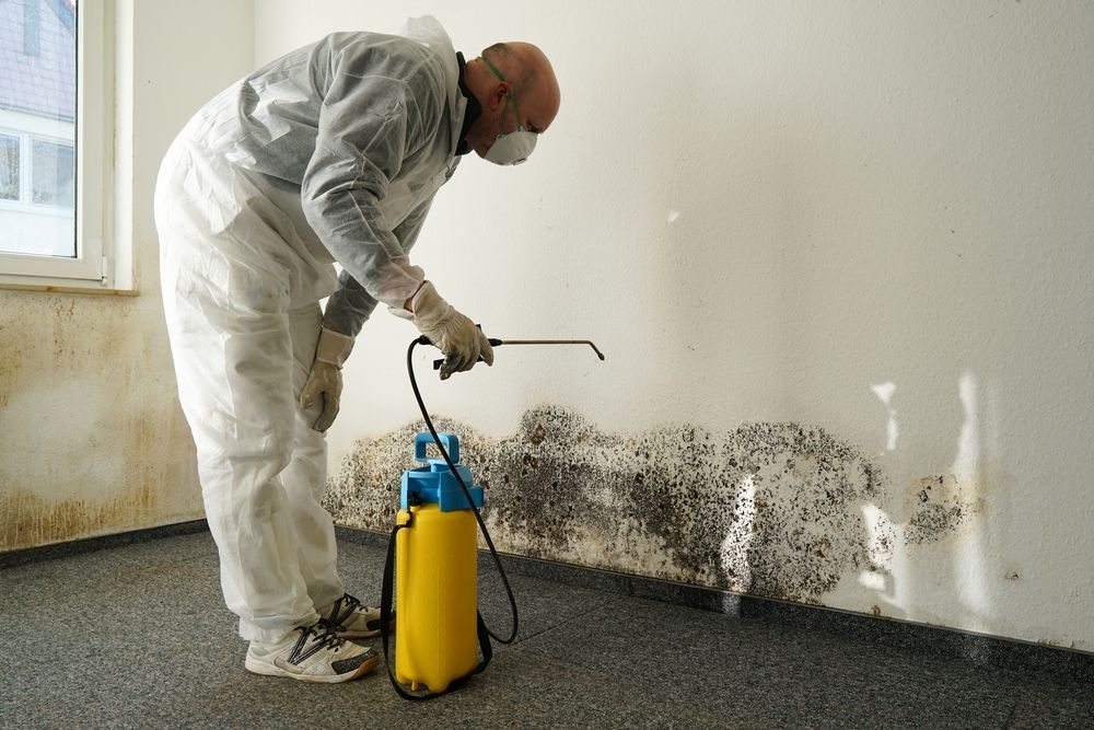 A Man is Spraying Mold on a Wall With a Sprayer — Axis Painting in Coffs Harbour, NSW
