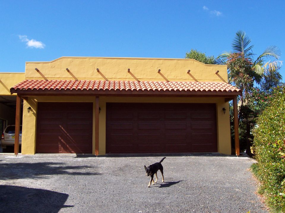 A Dog Standing in Front of a Yellow Garage — Axis Painting in Coffs Harbour, NSW