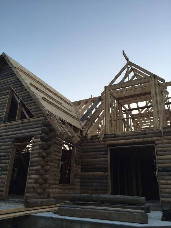 Partially built log cabin with exposed roof trusses against a clear sky
