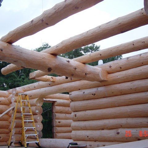 Log cabin under construction with stacked logs, roof beams, and a yellow ladder inside the frame.