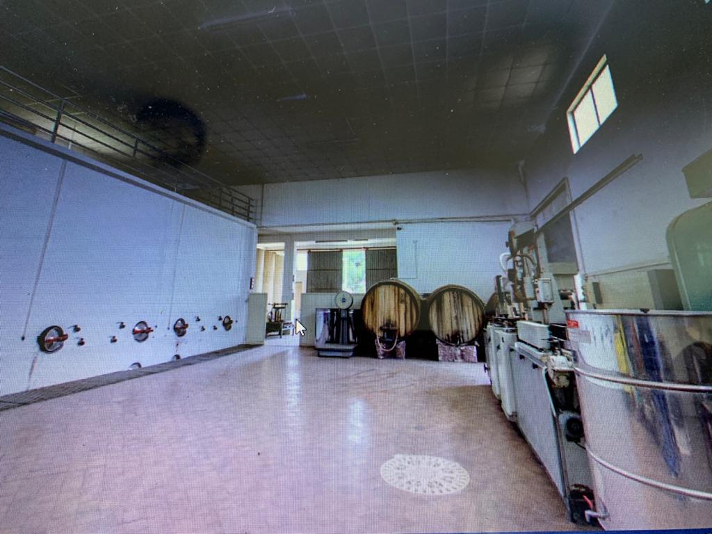 mosaico vini