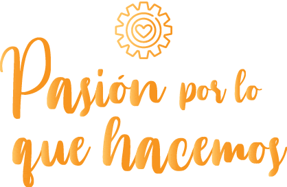 Inicio
