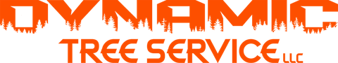Orange logo with 