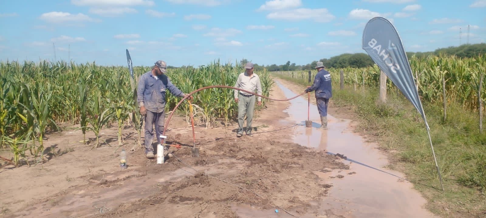 Trabajadores fumigando cultivos en un camino agrícola embarrado junto a campos de maíz bajo un cielo azul.