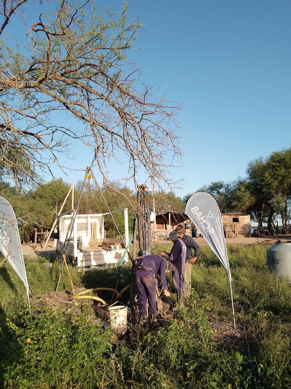 Dos personas trabajando en el jardín de un patio soleado con árboles, arbustos y una pequeña estructura blanca al fondo.