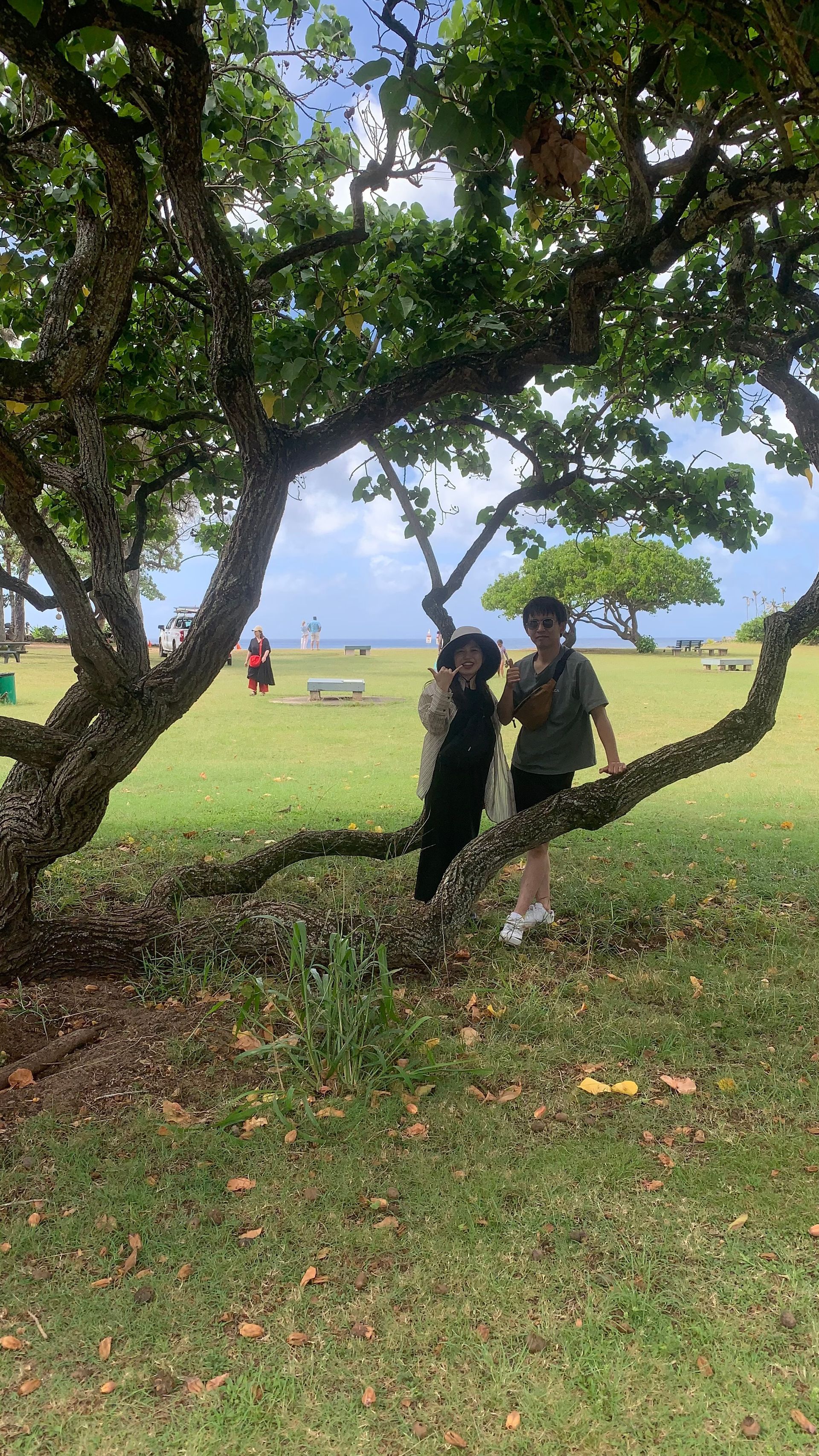 Two people on a tree branch in a park, with a grassy field and ocean visible in the background.