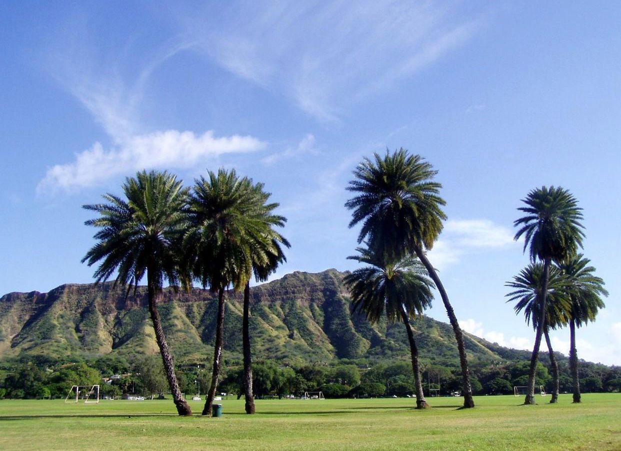 Palm trees in front of Diamond Head crater on a sunny day.