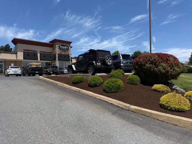 Car dealership lot with parked trucks and cars, landscaped shrubs, and a building under a blue sky