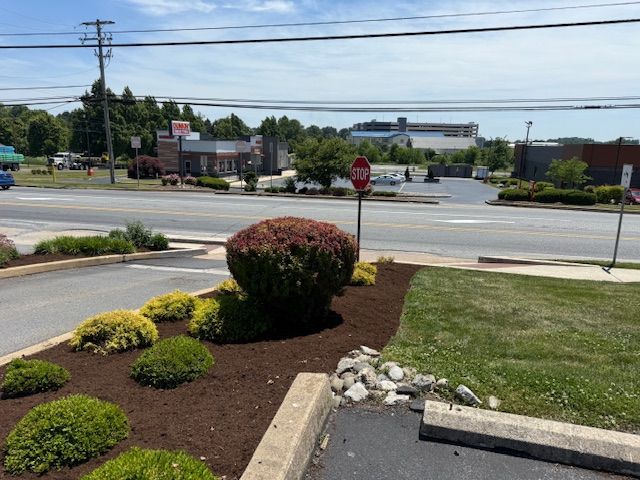Landscaped roadside corner with shrubs, grass, a stop sign, and a street intersection under a clear sky