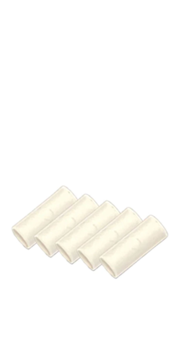 A Spare Inlet Filter Element (5 pack)