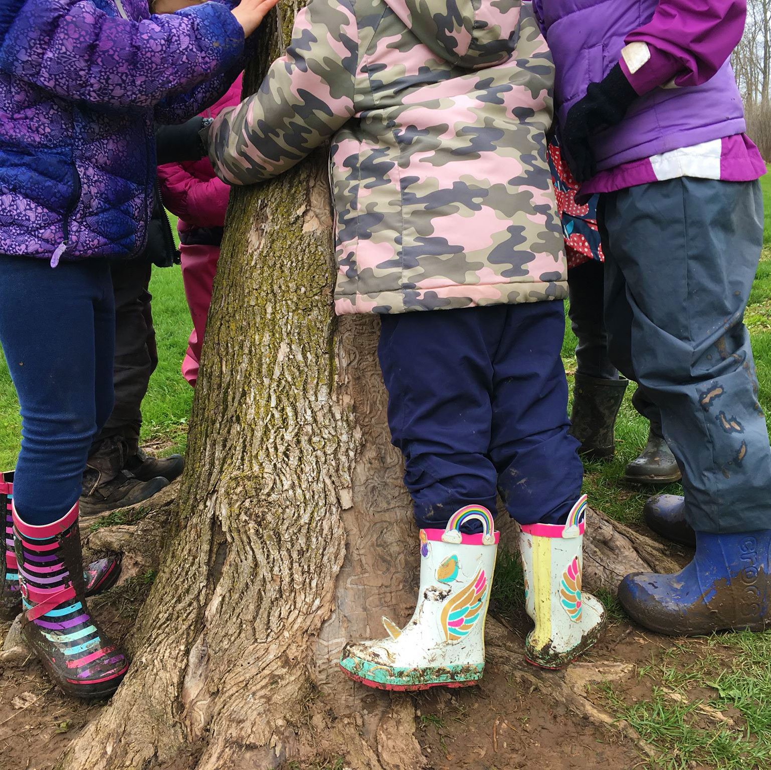 Oakvillegreen Conservation Association | School Programs
