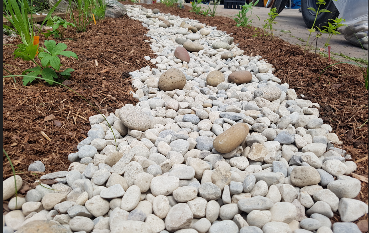 rain garden, stones, plants