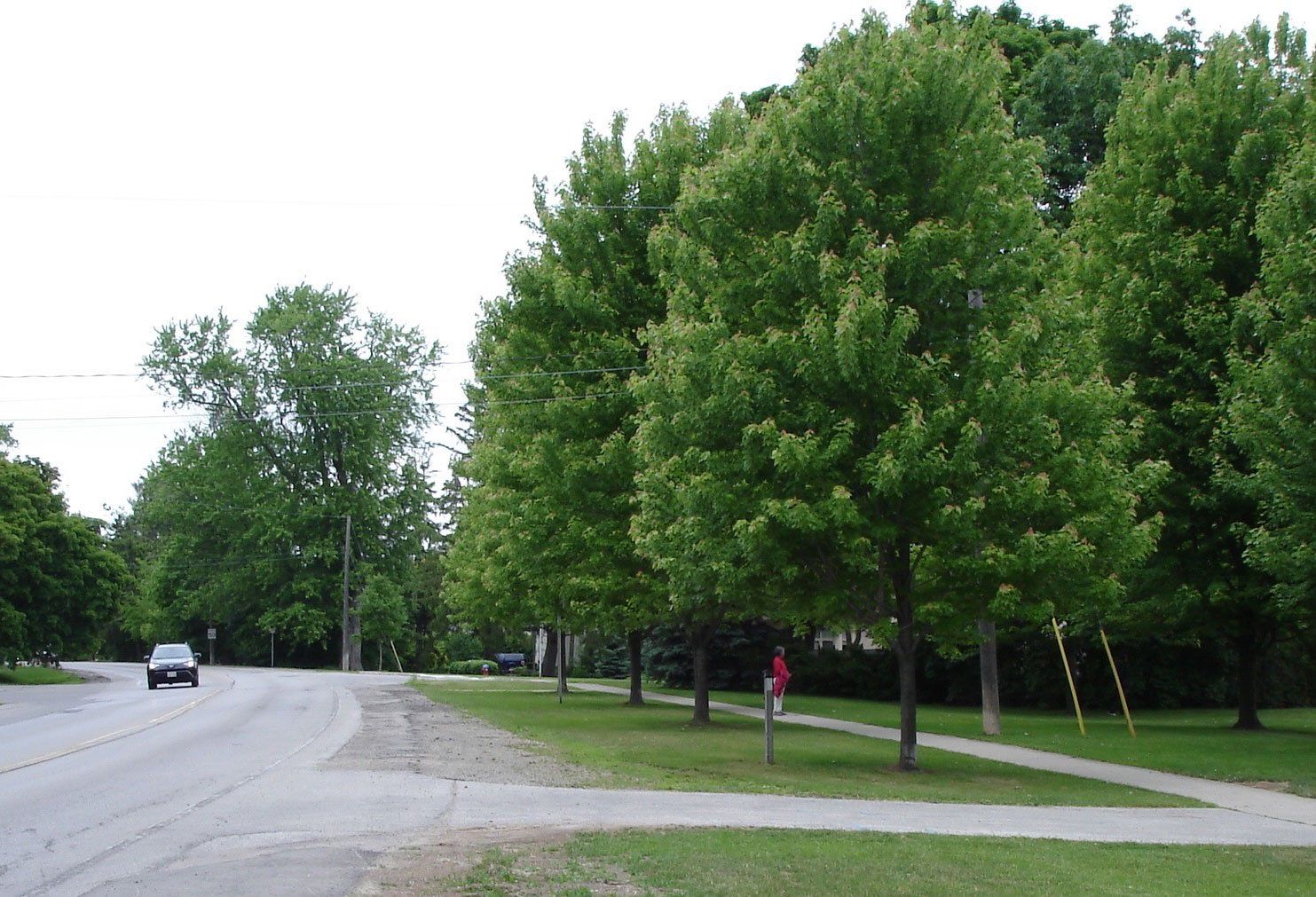 Lakeshore Road West Improvements