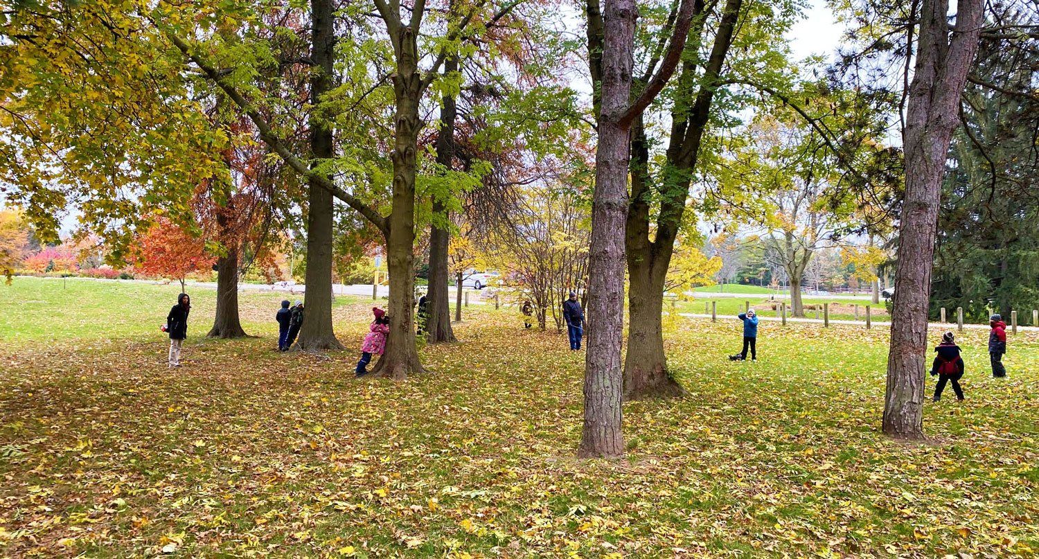 GreenRoots – Inspiring the Next Generation of Nature Stewards