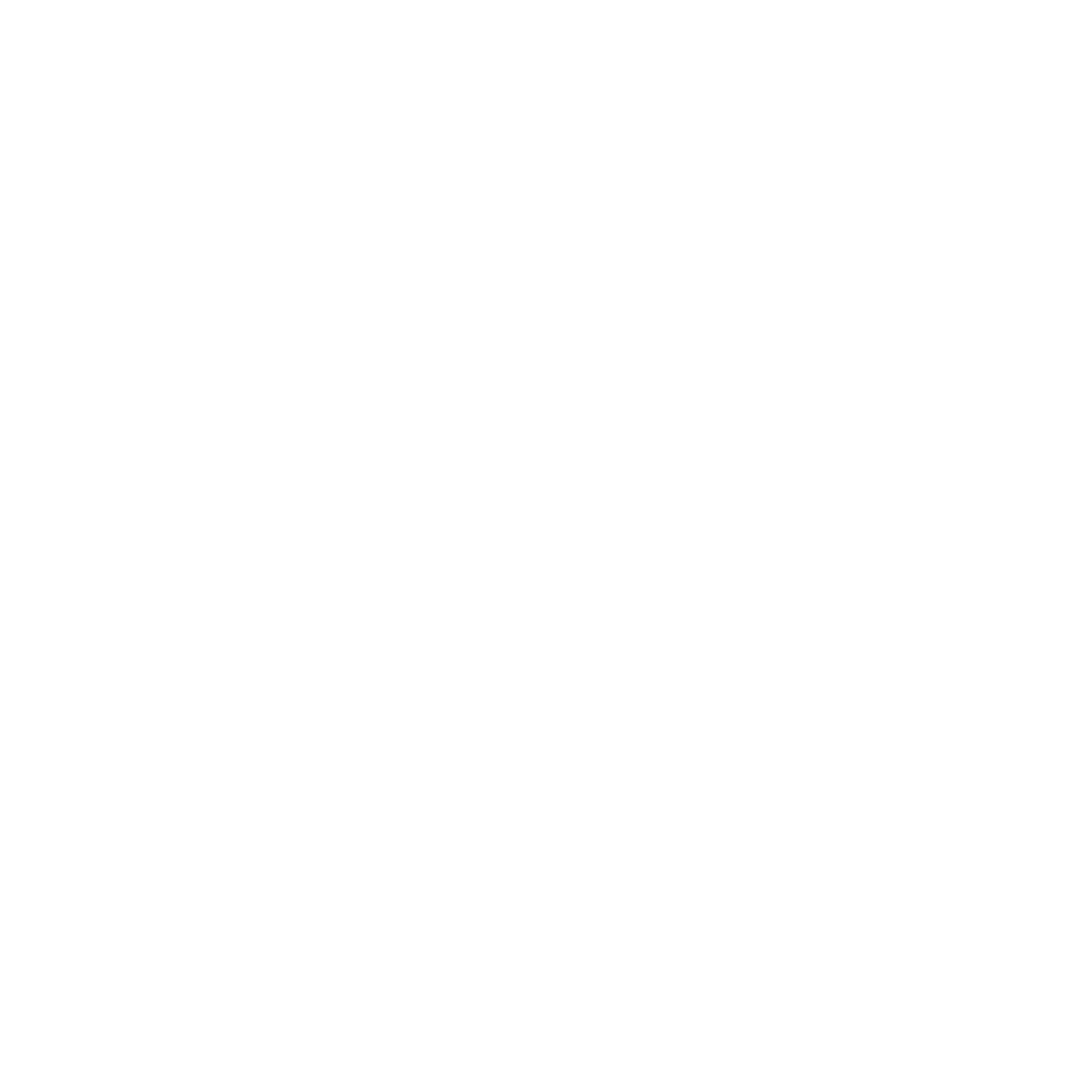 Icon Earth