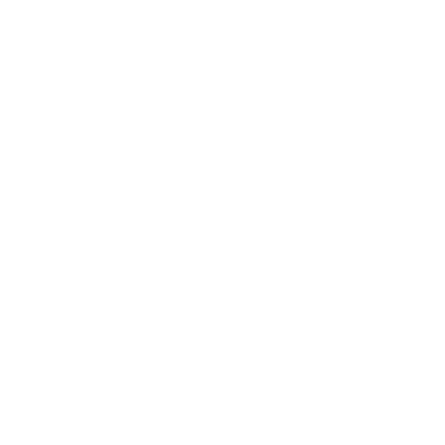 Icon Water