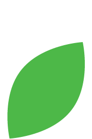 Green Leaf Icon Green Leaf Icon