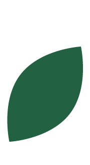 Green Leaf Icon Green Leaf Icon
