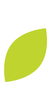 Green Leaf Icon Green Leaf Icon
