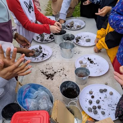 Milkweed seedball 