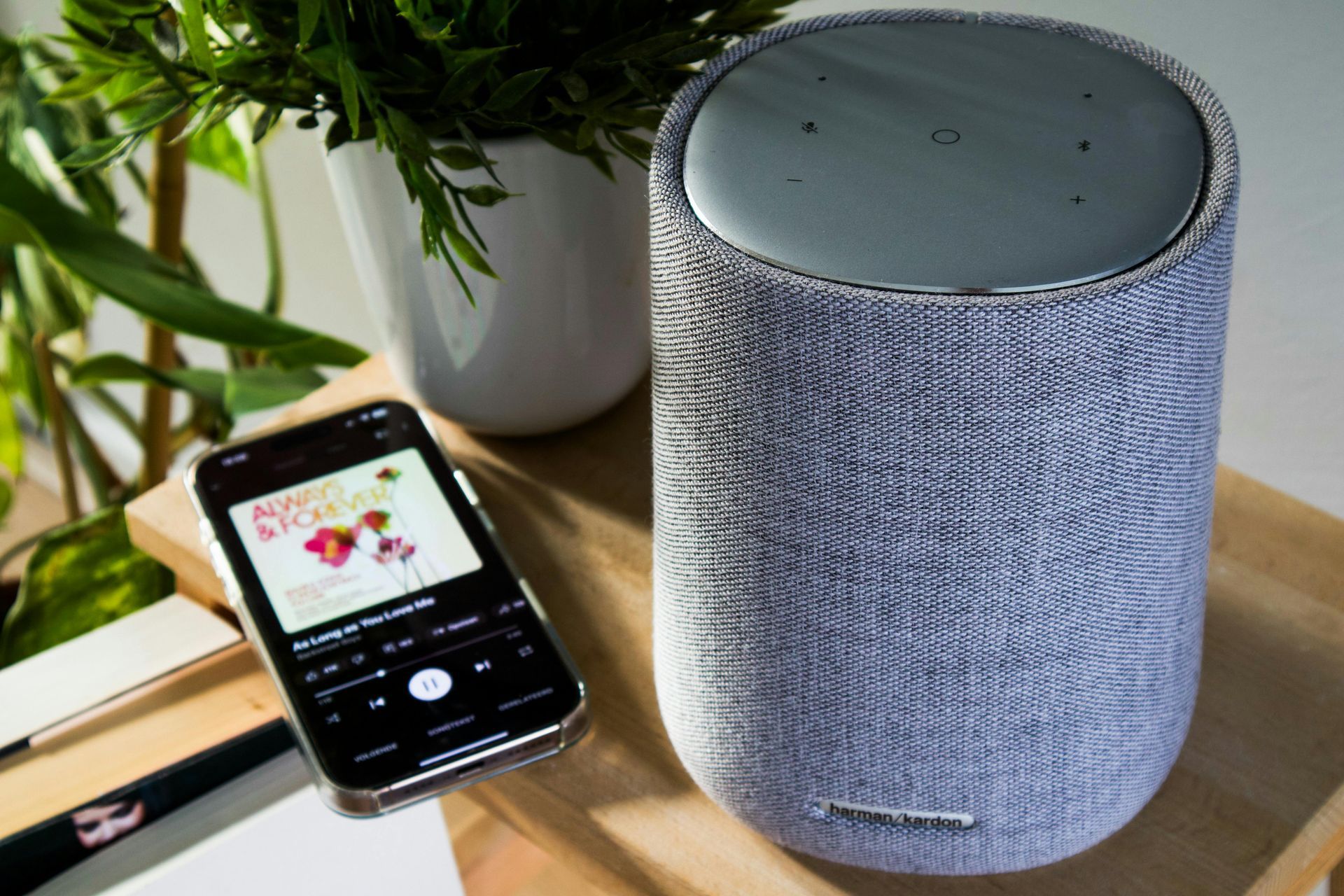 Smartphone naast een grijze stoffen smartspeaker op een houten tafel vlakbij een potplant.