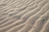 Rippled tan sand with wavy texture in close-up, like a desert or beach surface