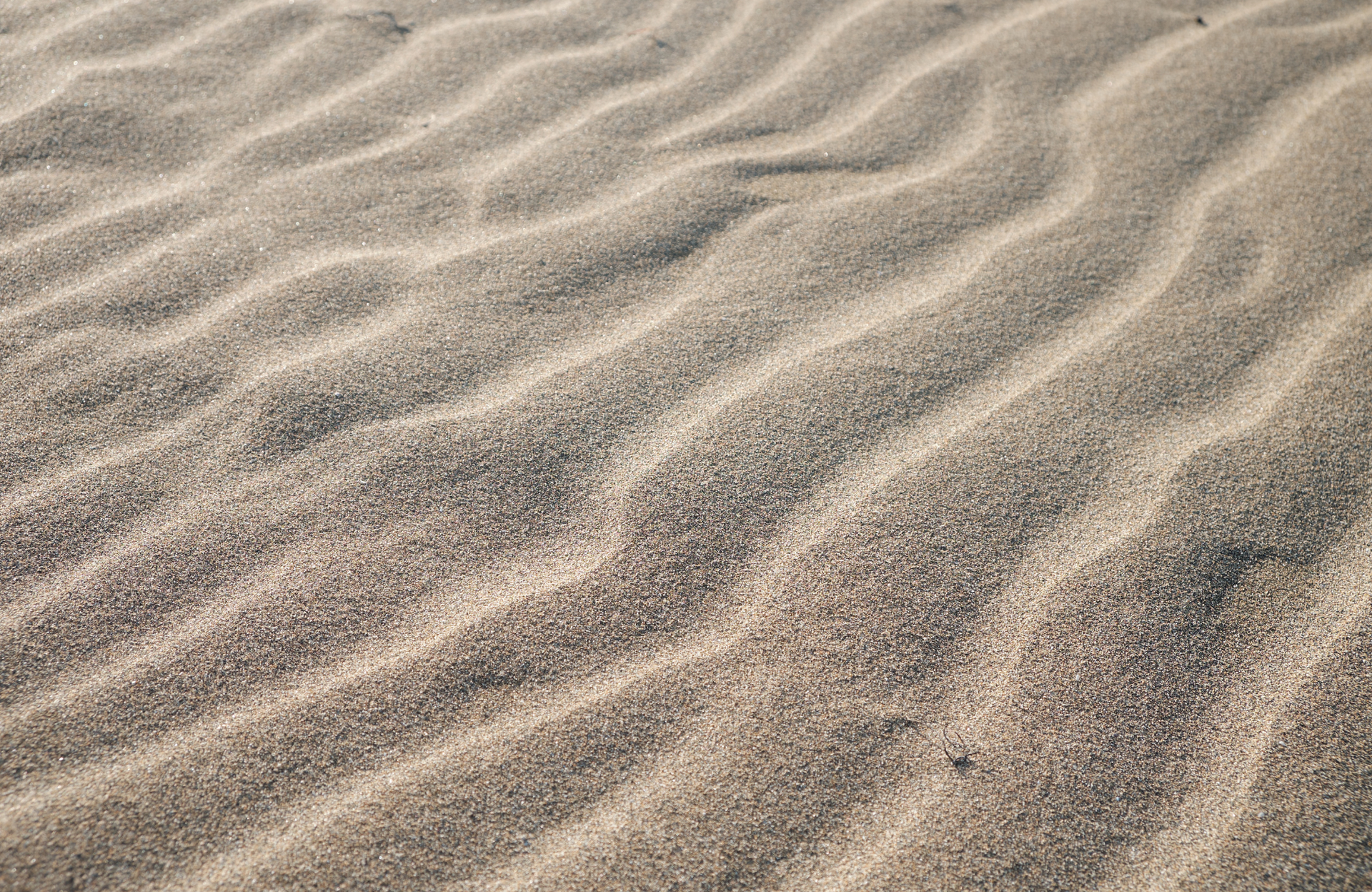 Rippled tan sand with wavy texture in close-up, like a desert or beach surface