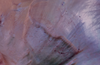 Close-up of a pink and purple stone or mineral surface with dark veining