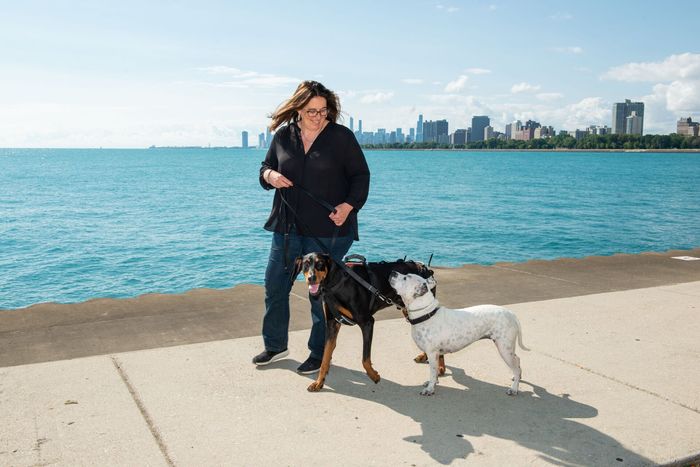 Dogs — Chicago, IL — LBI Law LLC